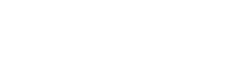 light logo